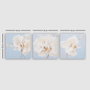Wallity Conjunto de 3 Pinturas Decorativas en Lienzo Multicolor